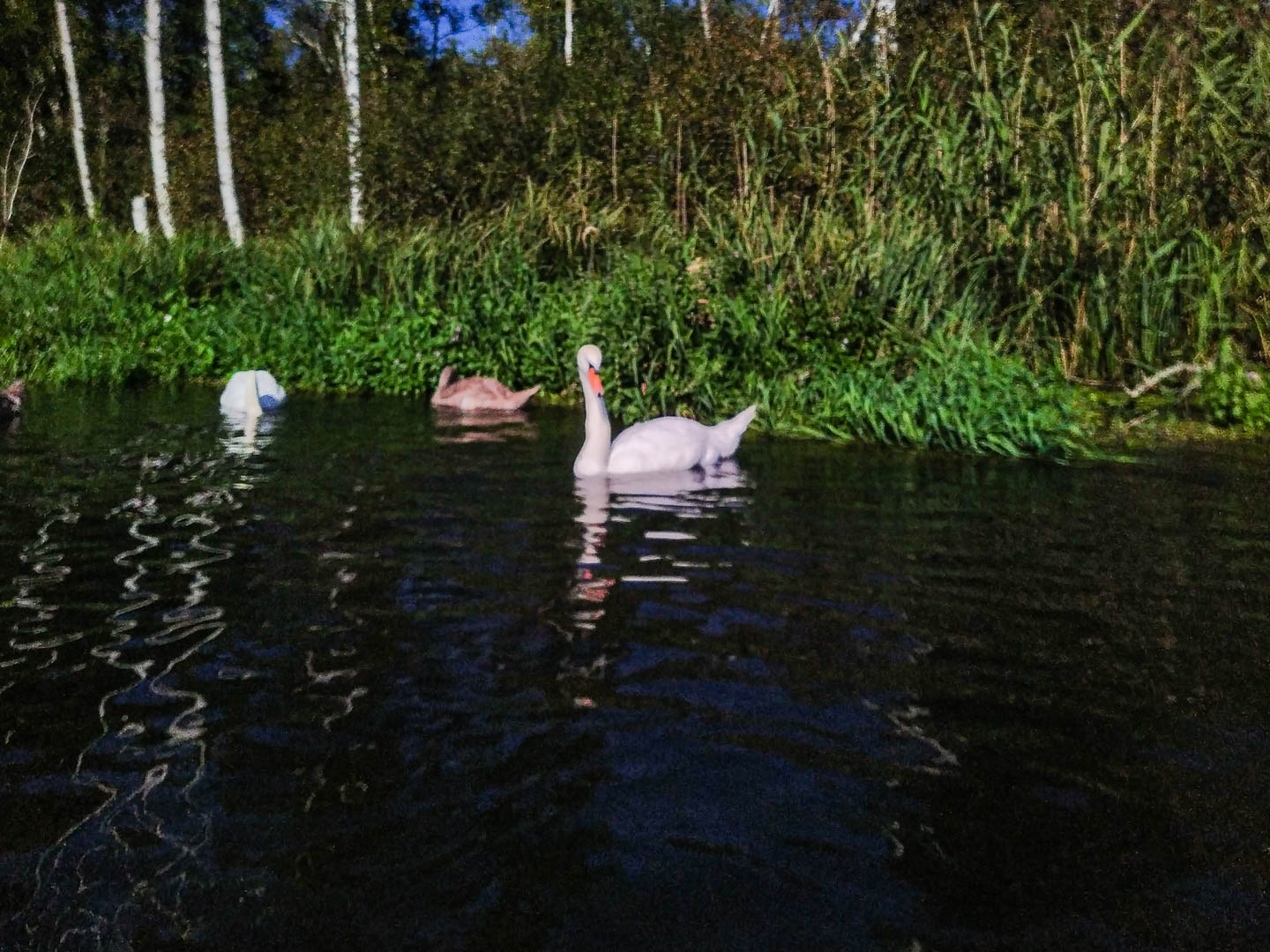 Kajaktour Starnberger See & Würm 05.09.2021